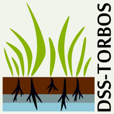 Logo DSS-TORBOS